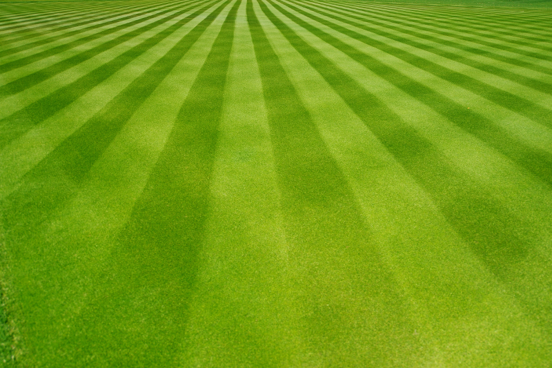 Lawn Care